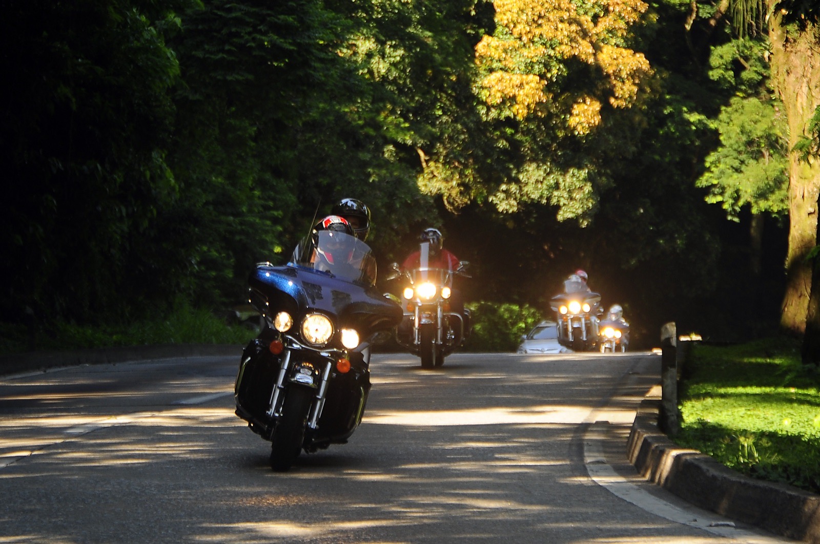 Rider and passenger on a touring motorcycle on a forest road