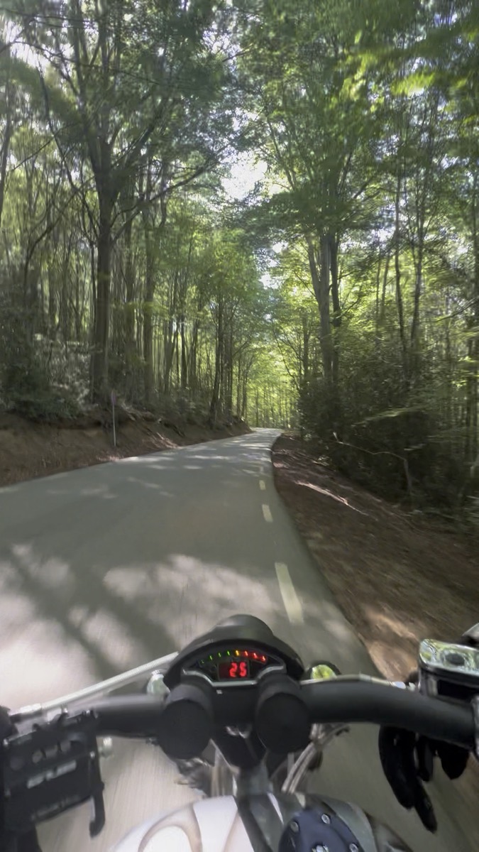 Over the handlebars: a quiet road through the beech forest of the Montseny