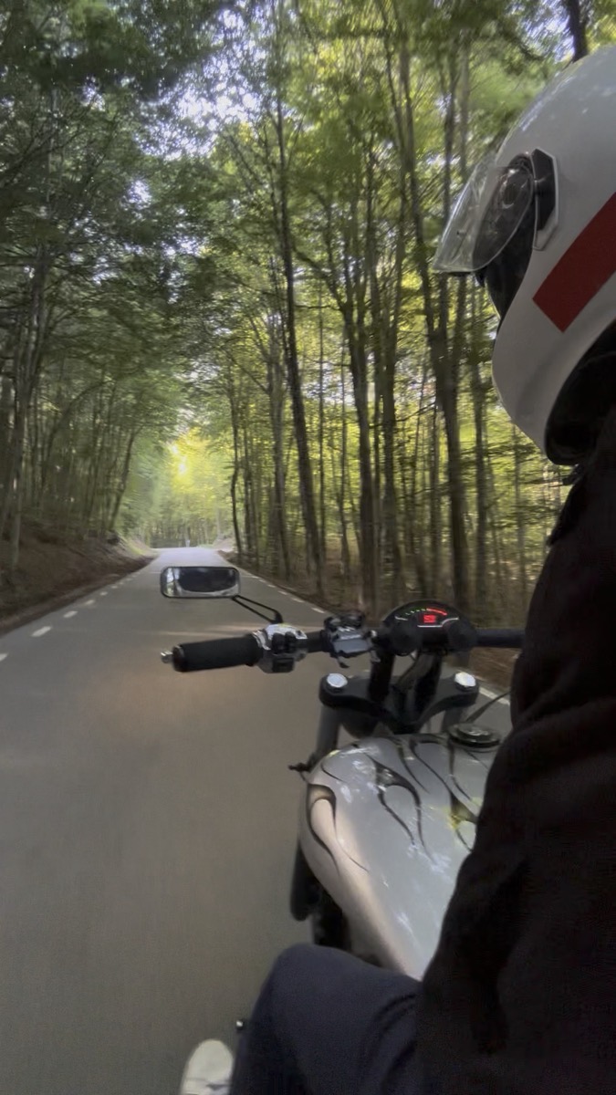 A rider on a silver motorcycle on a road through tall trees