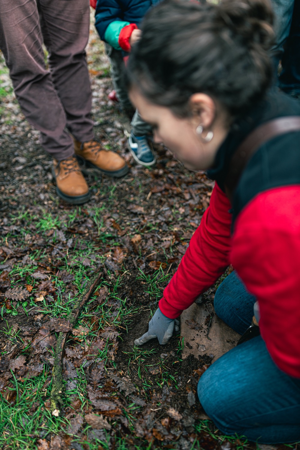 The truffle hunter kneels and digs with a gloved hand where the dog has stopped