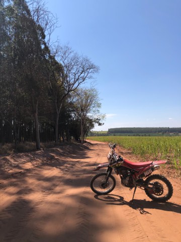 Enduro auf einer roten Lehmpiste zwischen Eukalyptus und Zuckerrohr im Inneren Brasiliens