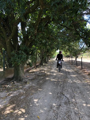 Motorrad auf einem von Bäumen gesäumten Feldweg im brasilianischen Hinterland