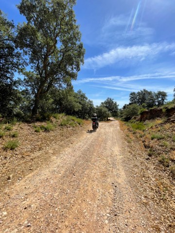 Rider on an unpaved track through oak woodland in the Sierra de Grazalema