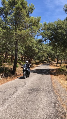 Motorcycle on a park road under cork oaks in Andalusia